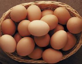 ¿El Huevo es Malo Para la Acidez?
