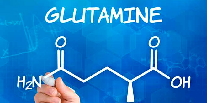 ¿Cómo Tomar Glutamina Para la Gastritis?